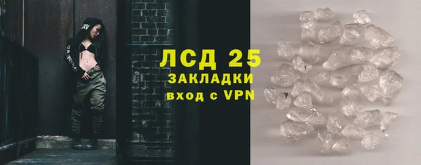 шишки Дегтярск